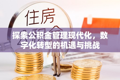 洮南探索公积金管理现代化，数字化转型的机遇与挑战