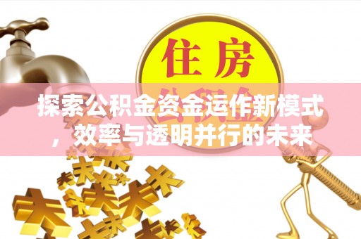 洮南探索公积金资金运作新模式，效率与透明并行的未来