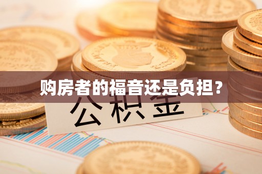 洮南购房者的福音还是负担？