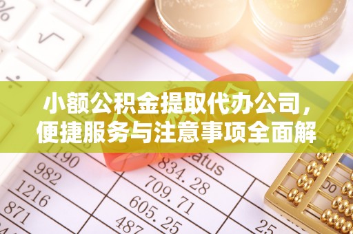 洮南小额公积金提取代办公司，便捷服务与注意事项全面解析