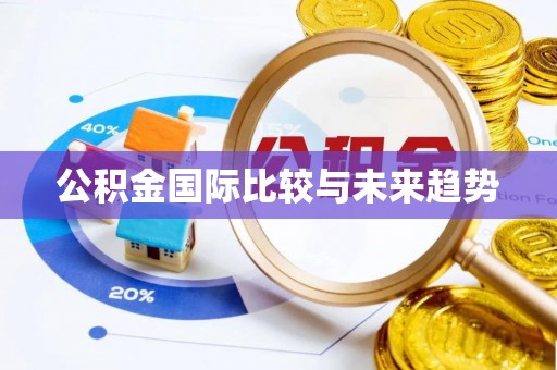 洮南公积金国际比较与未来趋势