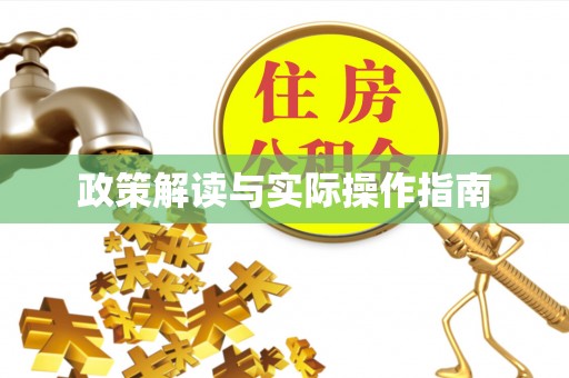 洮南政策解读与实际操作指南