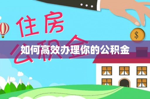 洮南如何高效办理你的公积金