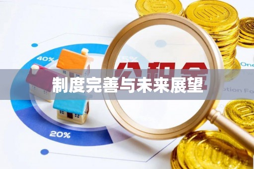 洮南制度完善与未来展望