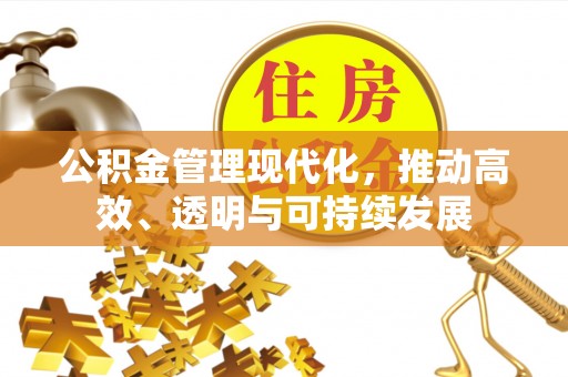 洮南公积金管理现代化，推动高效、透明与可持续发展