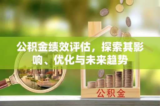 洮南公积金绩效评估，探索其影响、优化与未来趋势