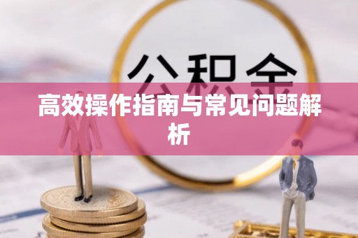 洮南高效操作指南与常见问题解析