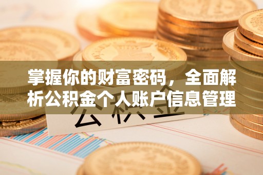 洮南掌握你的财富密码，全面解析公积金个人账户信息管理与优化