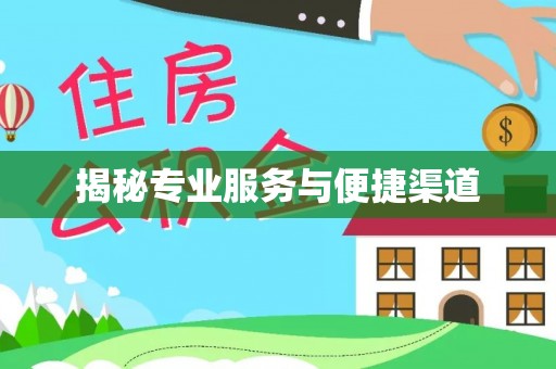 洮南揭秘专业服务与便捷渠道