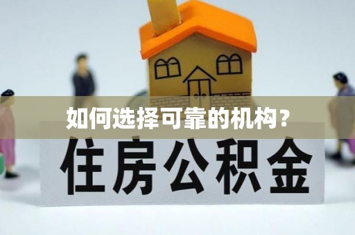 洮南如何选择可靠的机构？