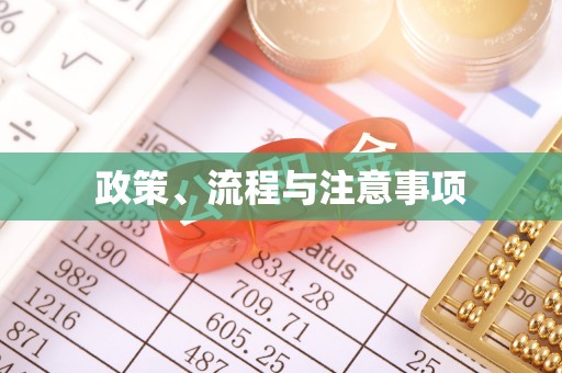洮南政策、流程与注意事项