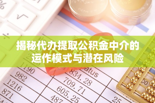 洮南揭秘代办提取公积金中介的运作模式与潜在风险