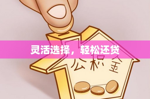 洮南灵活选择，轻松还贷