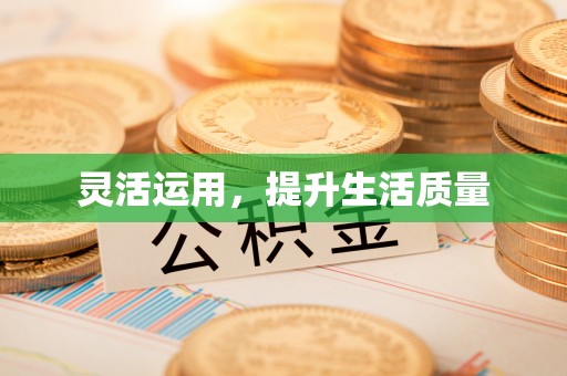 洮南灵活运用，提升生活质量