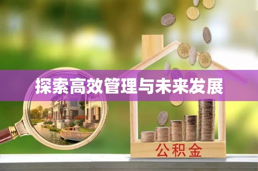 洮南探索高效管理与未来发展