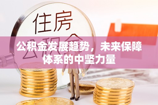 洮南公积金发展趋势，未来保障体系的中坚力量