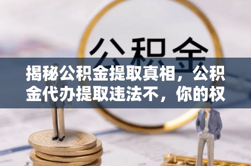 洮南揭秘公积金提取真相，公积金代办提取违法不，你的权益如何保障？