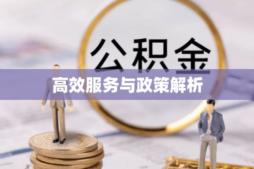 洮南高效服务与政策解析