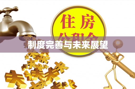 洮南制度完善与未来展望