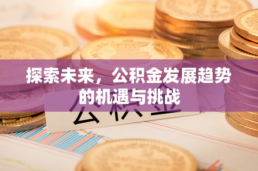 洮南探索未来，公积金发展趋势的机遇与挑战