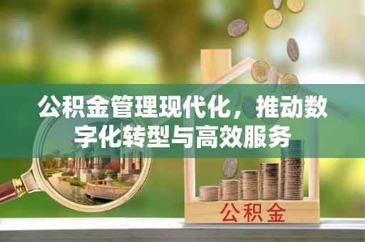 洮南公积金管理现代化，推动数字化转型与高效服务