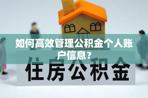 洮南如何高效管理公积金个人账户信息？