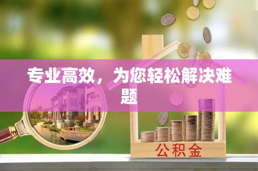 洮南专业高效，为您轻松解决难题