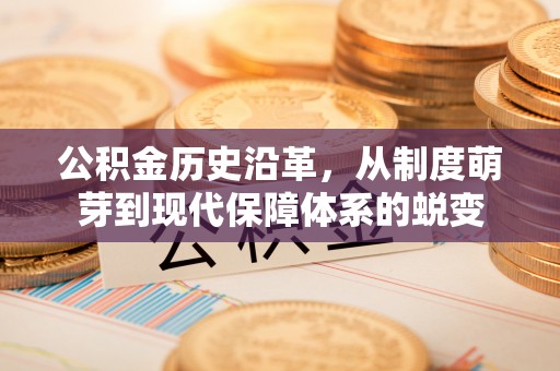 洮南公积金历史沿革，从制度萌芽到现代保障体系的蜕变