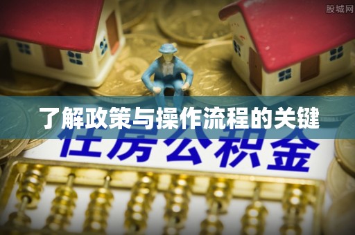 洮南了解政策与操作流程的关键