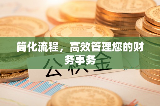 洮南简化流程，高效管理您的财务事务