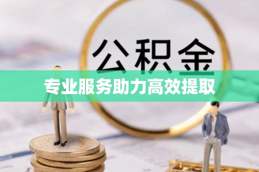 洮南专业服务助力高效提取