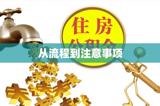 洮南从流程到注意事项