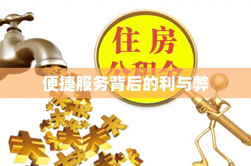 洮南便捷服务背后的利与弊