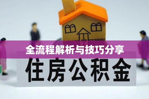 洮南全流程解析与技巧分享