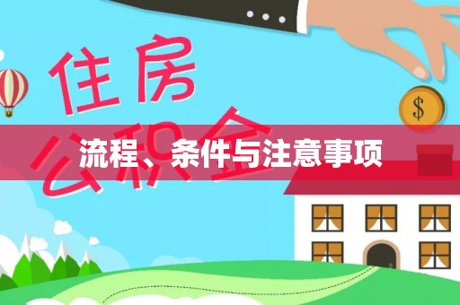 洮南流程、条件与注意事项